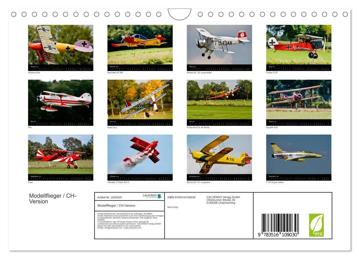 Bild: 9783516109030 | Modellflieger / CH-Version (Wandkalender 2026 DIN A4 quer),...