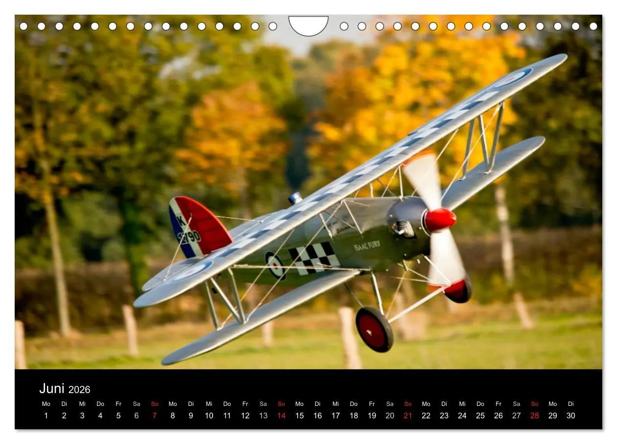 Bild: 9783516109030 | Modellflieger / CH-Version (Wandkalender 2026 DIN A4 quer),...