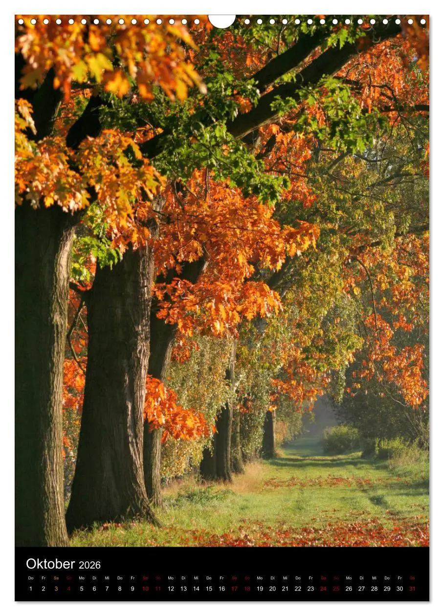 Bild: 9783516419030 | Bäume - Stilles Leben (Wandkalender 2026 DIN A3 hoch), CALVENDO...