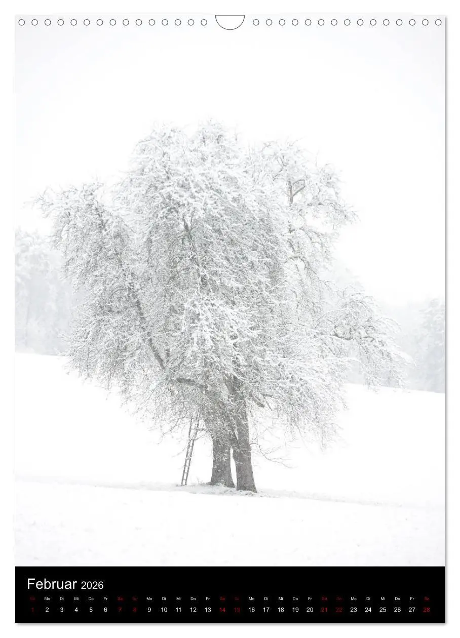 Bild: 9783516419030 | Bäume - Stilles Leben (Wandkalender 2026 DIN A3 hoch), CALVENDO...