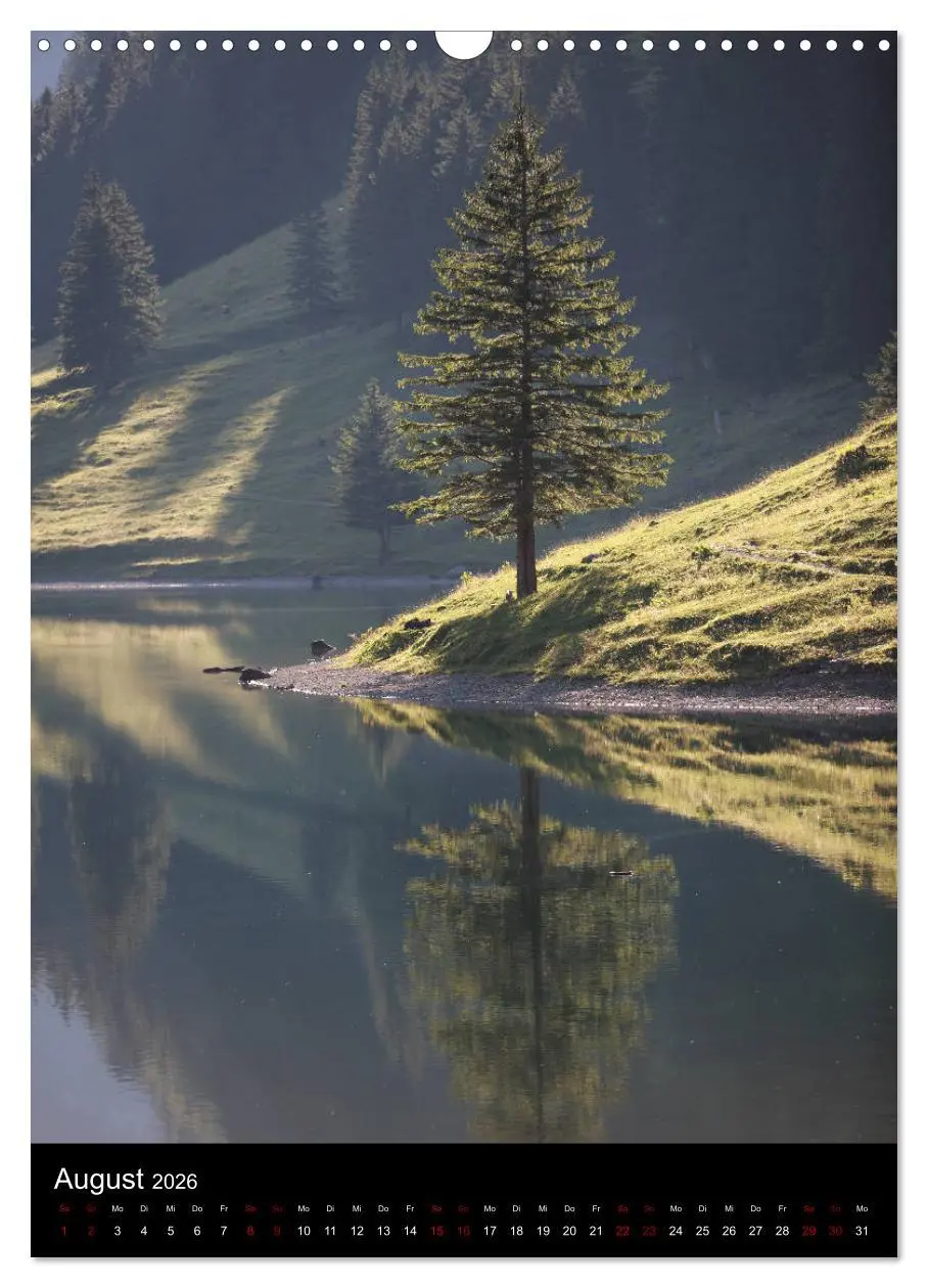 Bild: 9783516419030 | Bäume - Stilles Leben (Wandkalender 2026 DIN A3 hoch), CALVENDO...