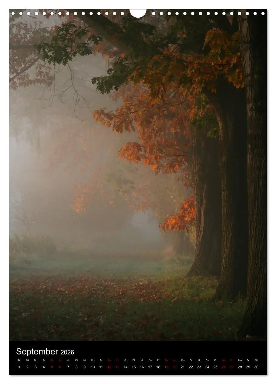 Bild: 9783516419030 | Bäume - Stilles Leben (Wandkalender 2026 DIN A3 hoch), CALVENDO...