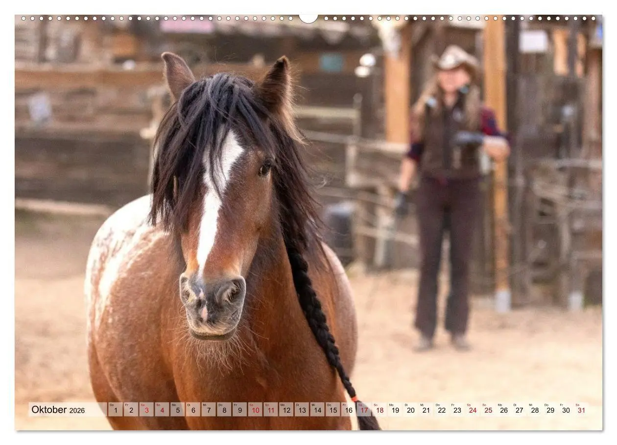 Bild: 9783516729030 | Colorful Horse Ranch - Wo Tinker posen und Ponys lächeln...