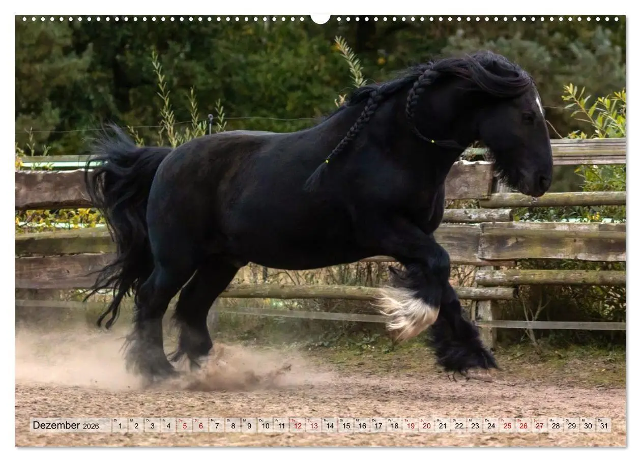 Bild: 9783516729030 | Colorful Horse Ranch - Wo Tinker posen und Ponys lächeln...