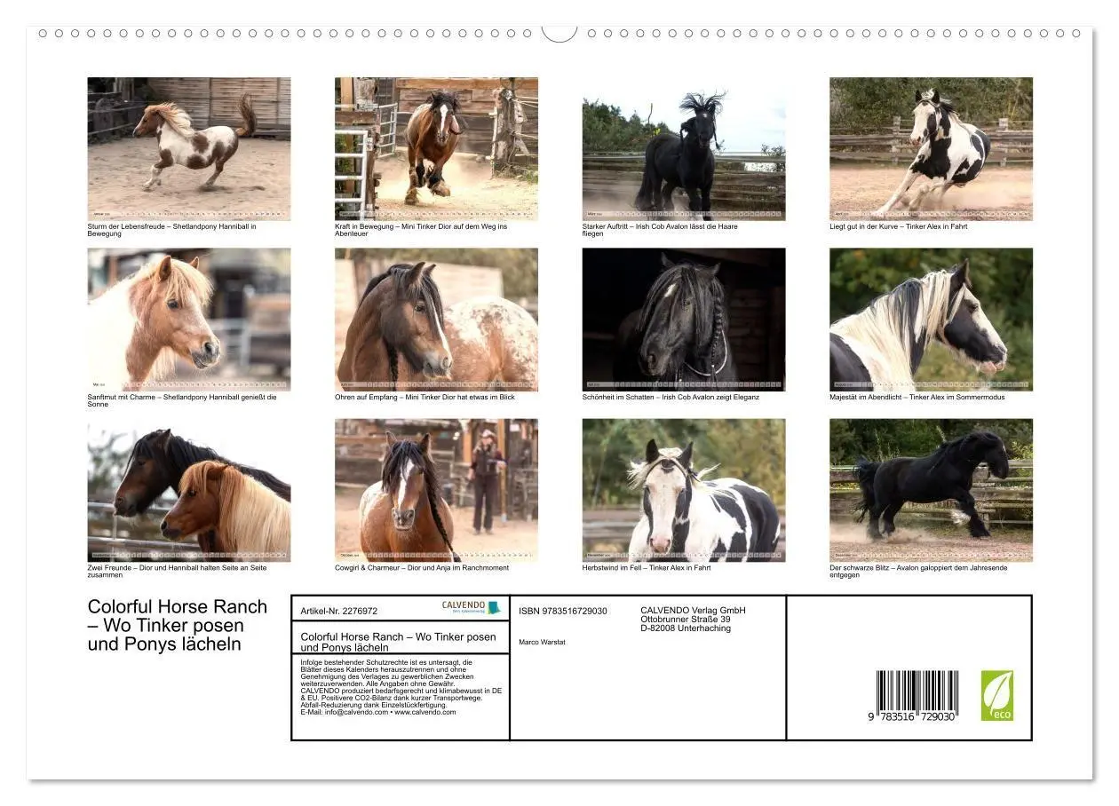 Bild: 9783516729030 | Colorful Horse Ranch - Wo Tinker posen und Ponys lächeln...