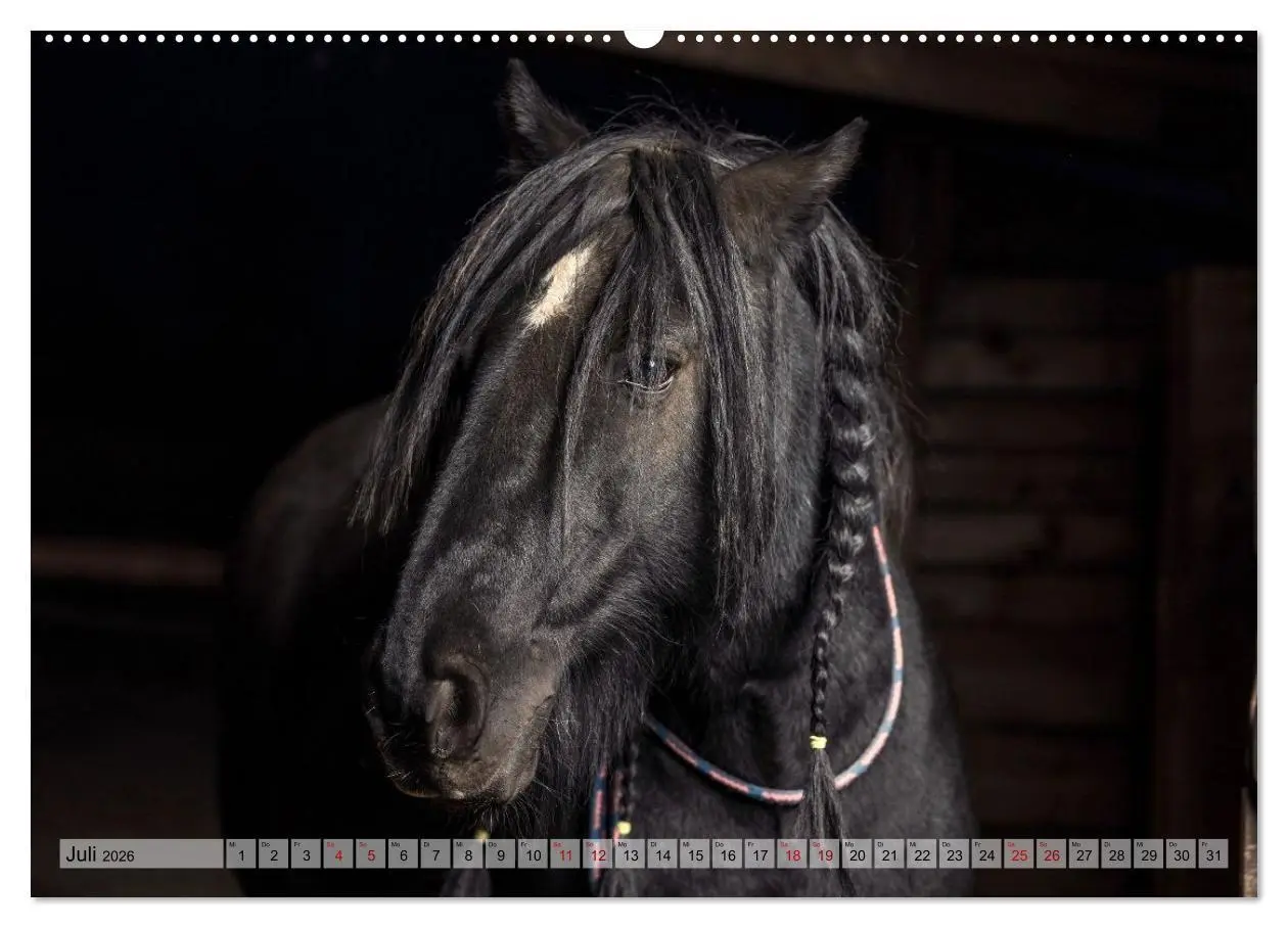 Bild: 9783516729030 | Colorful Horse Ranch - Wo Tinker posen und Ponys lächeln...