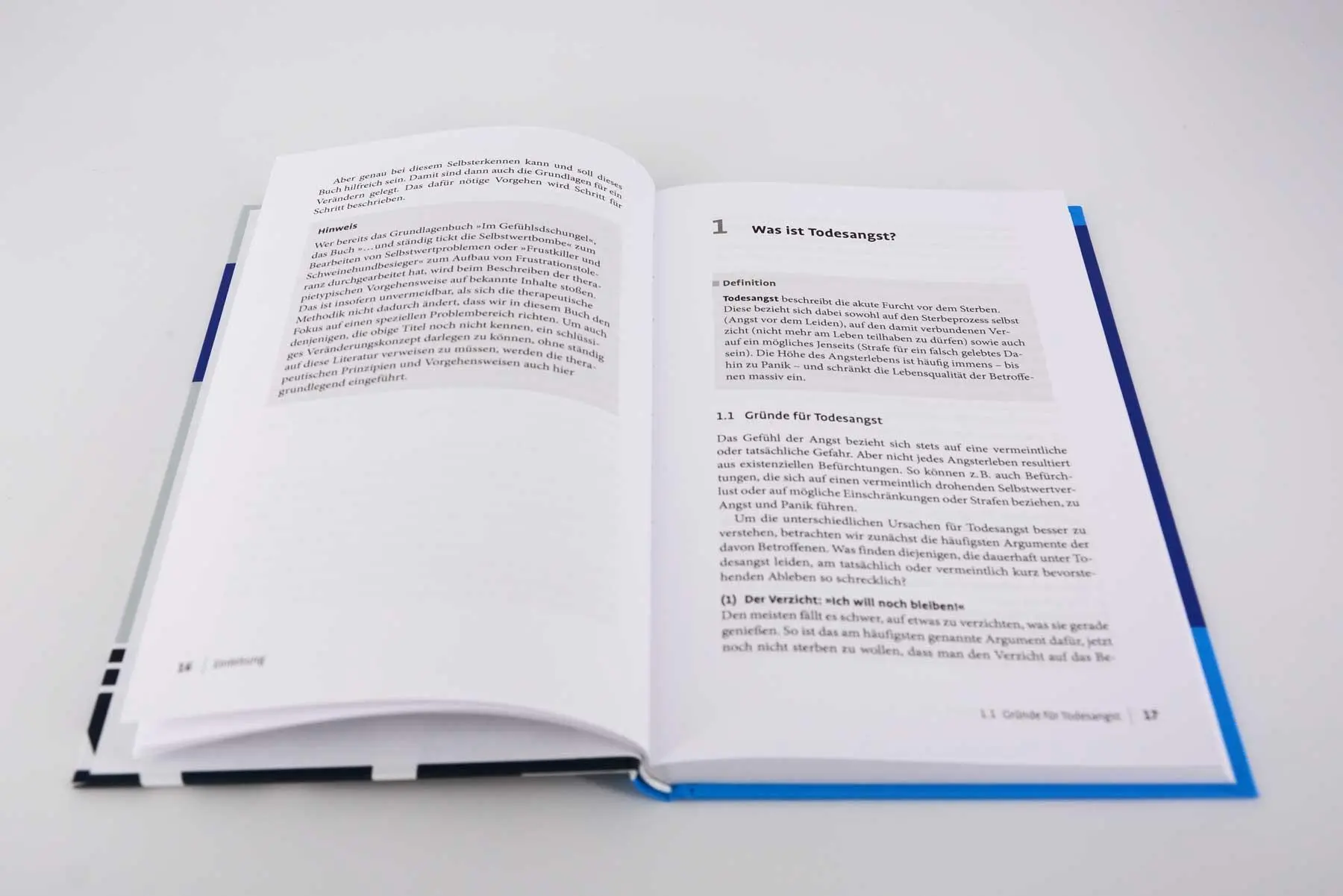 Bild: 9783621289030 | Unerschrocken weiterleben | Harlich H. Stavemann | Buch | 187 S.