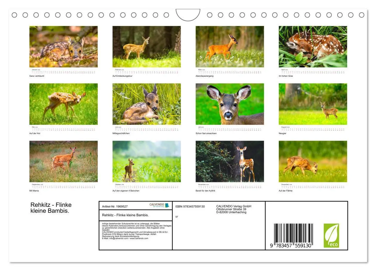 Bild: 9783457559130 | Rehkitz - Flinke kleine Bambis. (Wandkalender 2026 DIN A4 quer),...