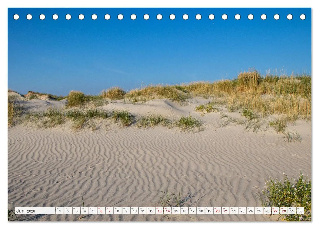 Bild: 9783457619230 | Urlaub in Nordfriesland (Tischkalender 2026 DIN A5 quer), CALVENDO...