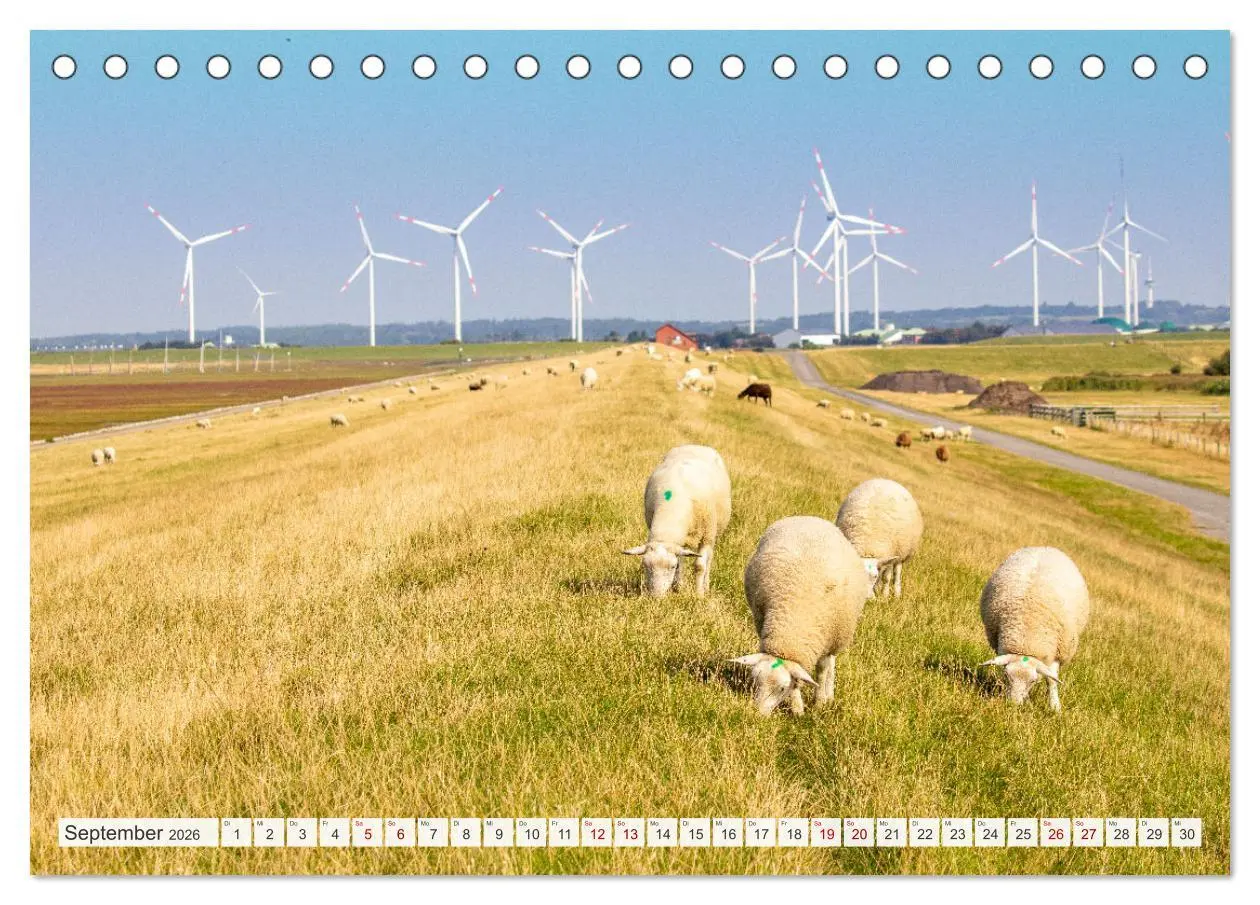 Bild: 9783457619230 | Urlaub in Nordfriesland (Tischkalender 2026 DIN A5 quer), CALVENDO...