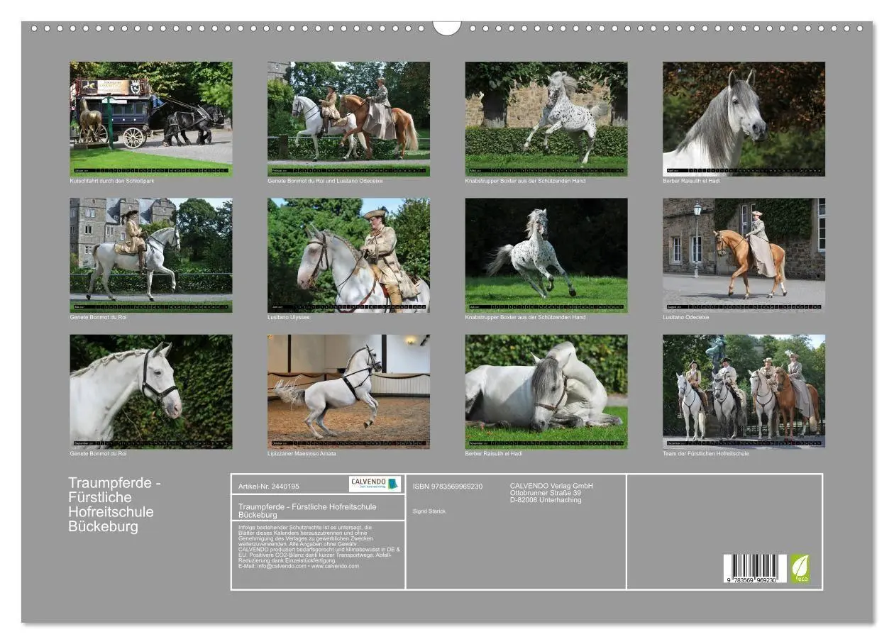 Bild: 9783569969230 | Traumpferde - Fürstliche Hofreitschule Bückeburg (Wandkalender 2027...