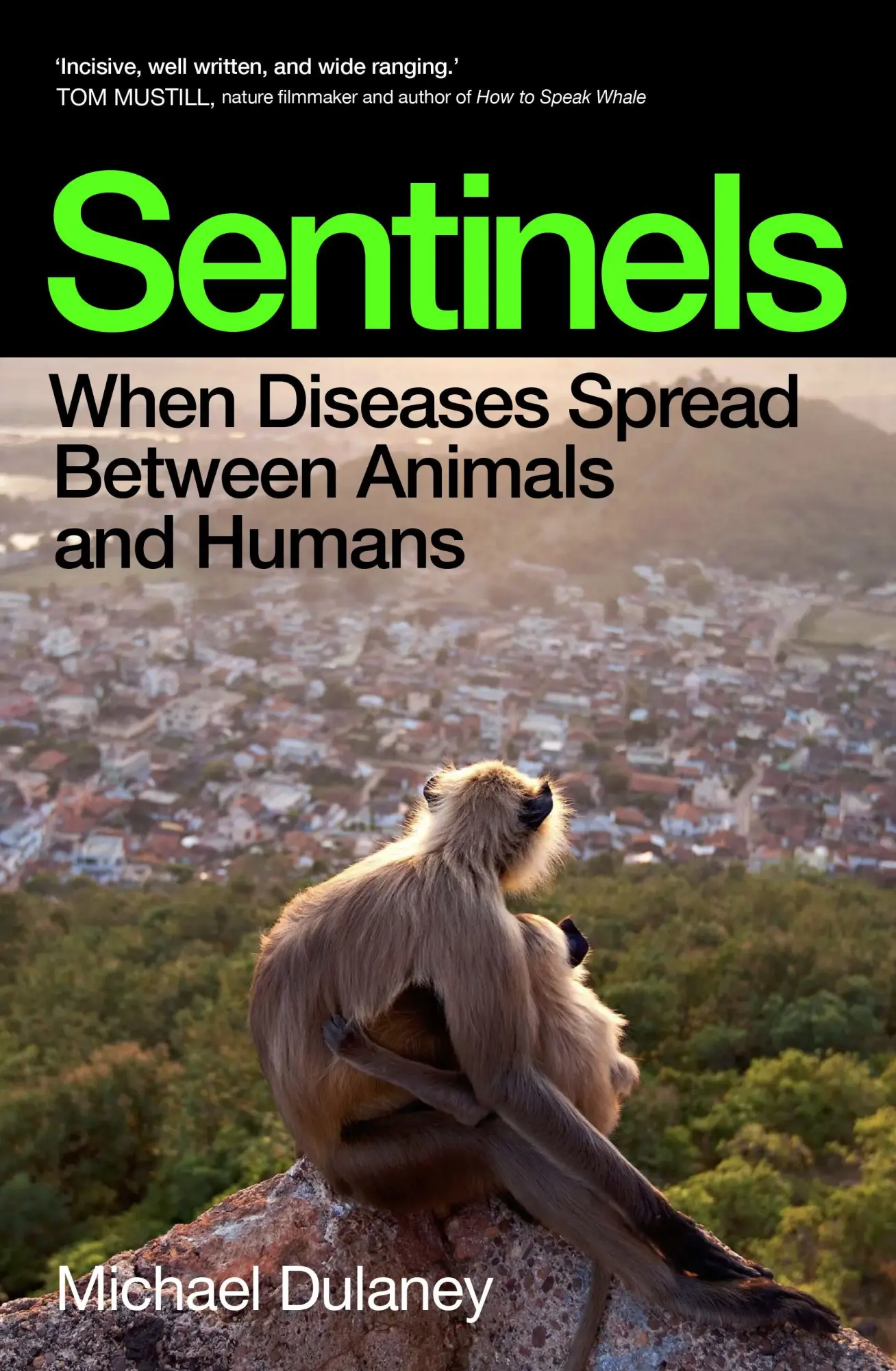 Cover: 9781917189330 | Sentinels | When Diseases Spread Between Animals and Humans | Dulaney