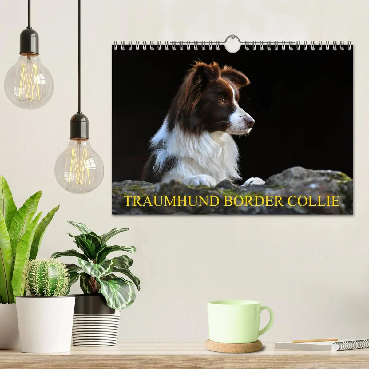 Bild: 9783457919330 | Traumhund Border Collie (Wandkalender 2026 DIN A4 quer), CALVENDO...