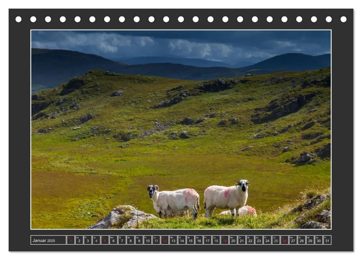 Bild: 9783435679430 | IRLAND - Insel der glücklichen Schafe (Tischkalender 2025 DIN A5...