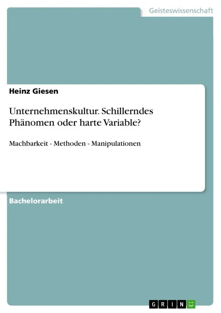 Cover: 9783640989430 | Unternehmenskultur. Schillerndes Phänomen oder harte Variable? | Buch