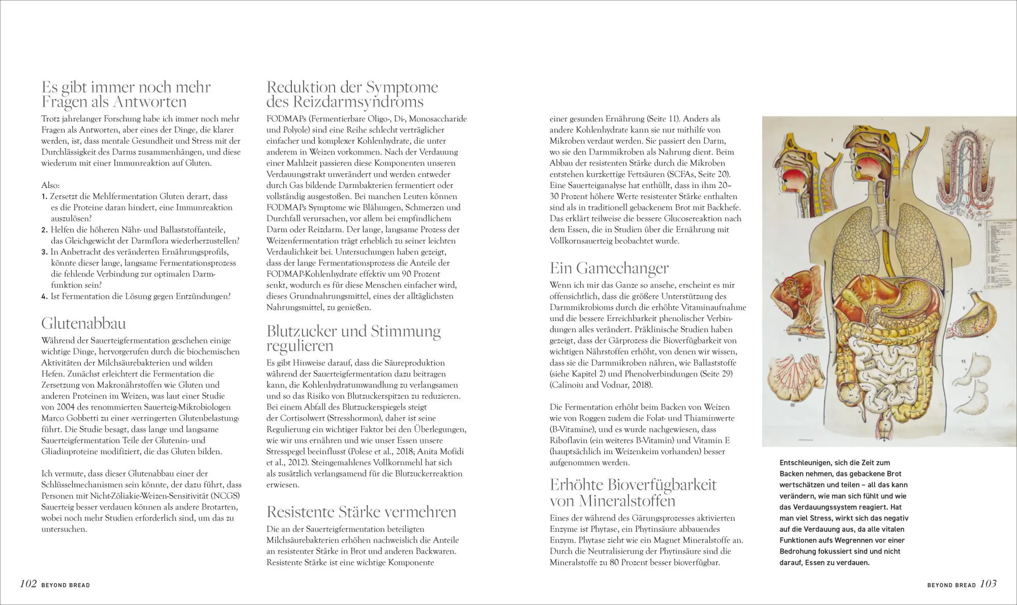 Bild: 9783959619530 | Beyond Bread. Süßes mit Sauerteig | Vanessa Kimbell | Buch | 192 S.