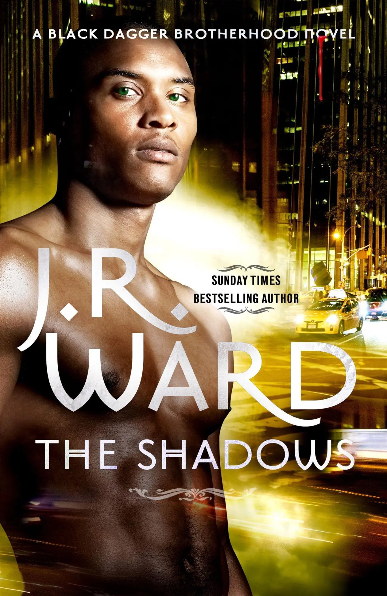 Cover: 9780749959630 | The Shadows | Number 13 in series | J. R. Ward | Taschenbuch | 2015
