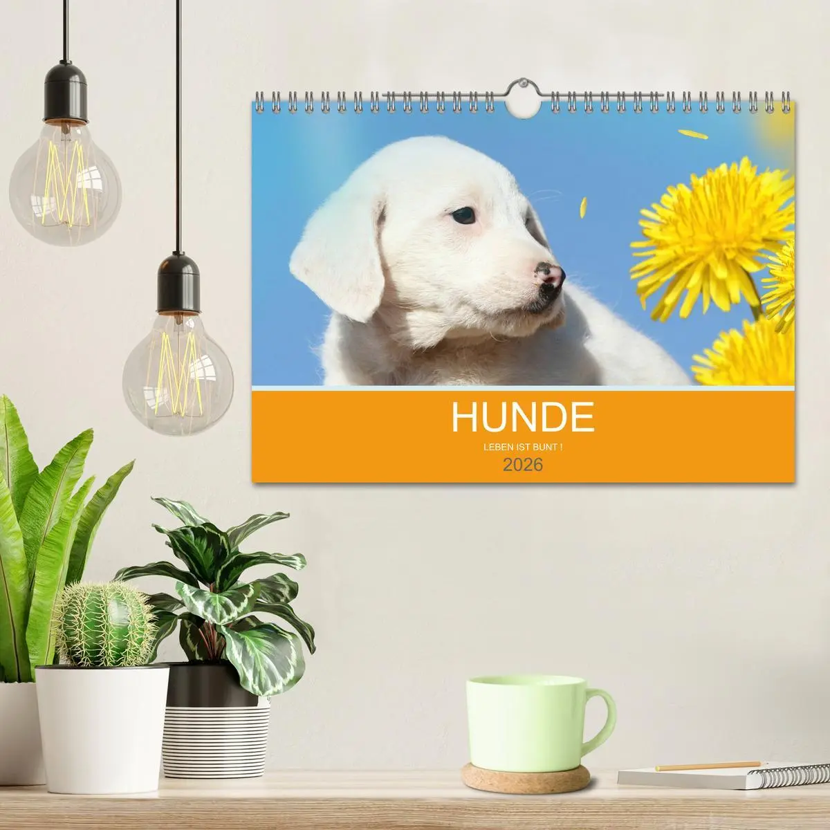 Bild: 9783457819630 | HUNDE LEBEN IST BUNT (Wandkalender 2026 DIN A4 quer), CALVENDO...