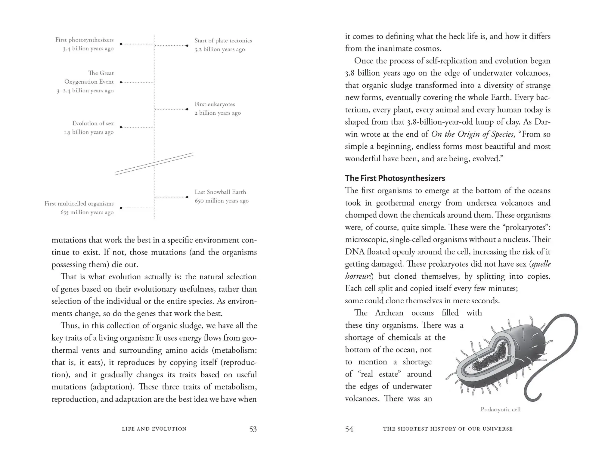 Bild: 9781615199730 | The Shortest History of Our Universe | David Baker | Taschenbuch