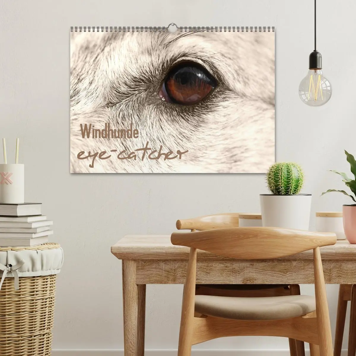 Bild: 9783457979730 | Windhunde eye-catcher (Wandkalender 2026 DIN A3 quer), CALVENDO...