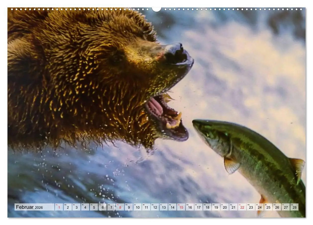 Bild: 9783516069730 | Alaska und Kanada (hochwertiger Premium Wandkalender 2026 DIN A2...