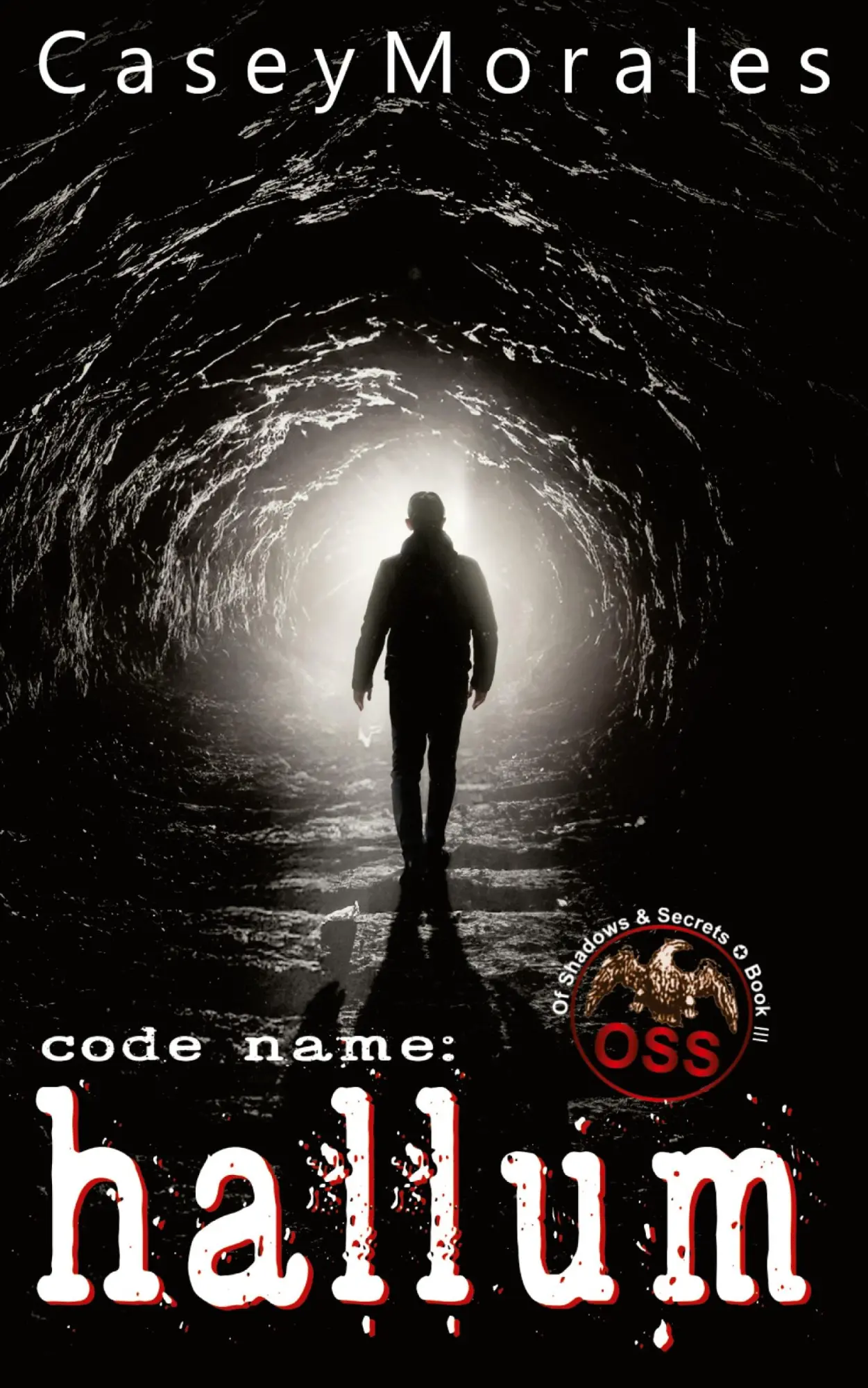 Cover: 9798330339730 | Hallum | An m/m romance spy thriller | Casey Morales | Taschenbuch