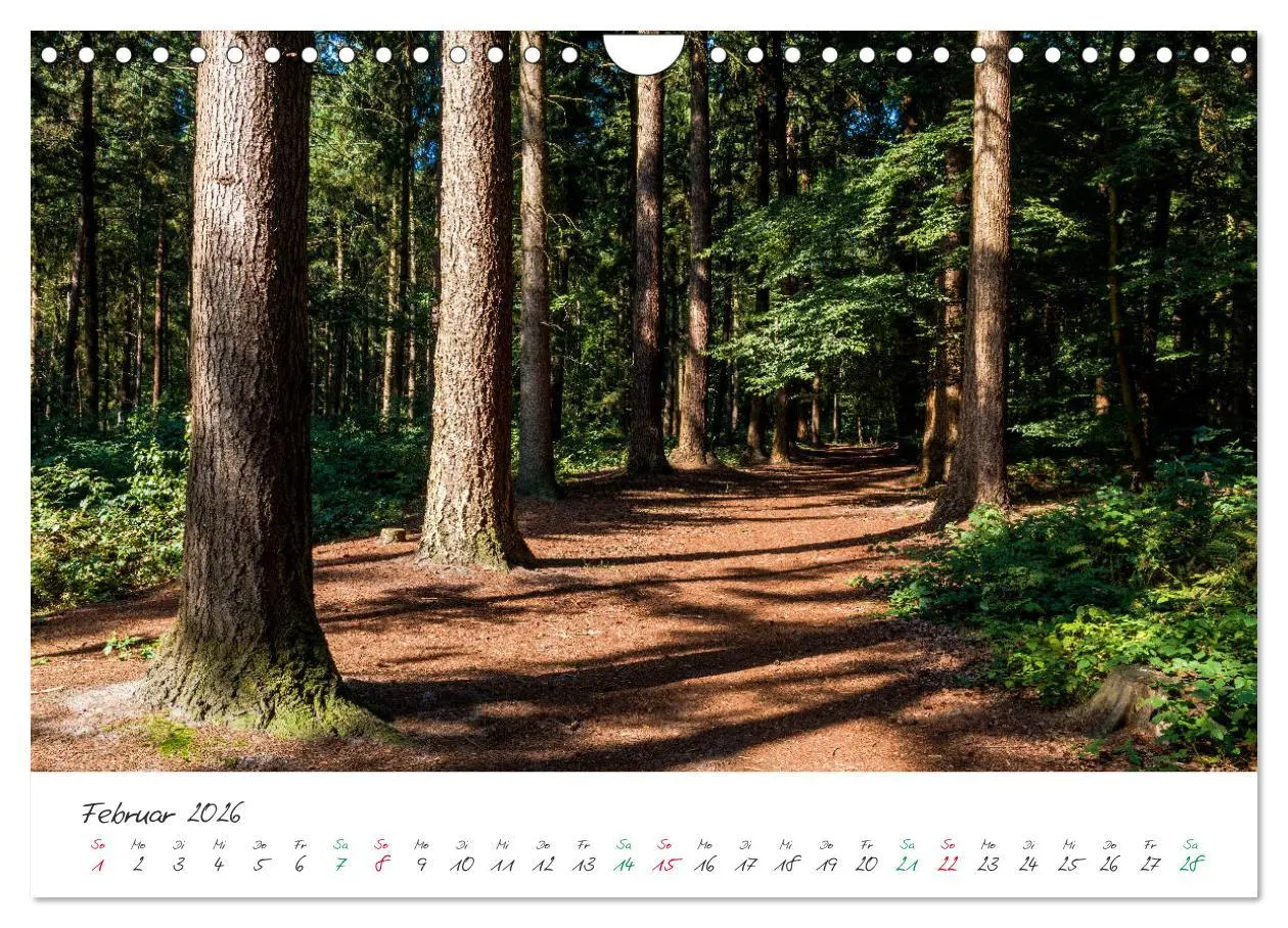 Bild: 9783457889930 | Delmenhorst Spätsommerbilder (Wandkalender 2026 DIN A4 quer),...