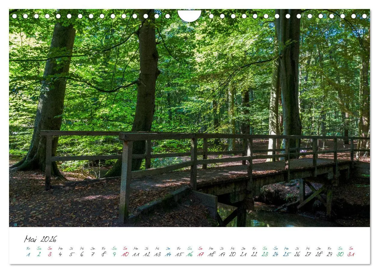Bild: 9783457889930 | Delmenhorst Spätsommerbilder (Wandkalender 2026 DIN A4 quer),...