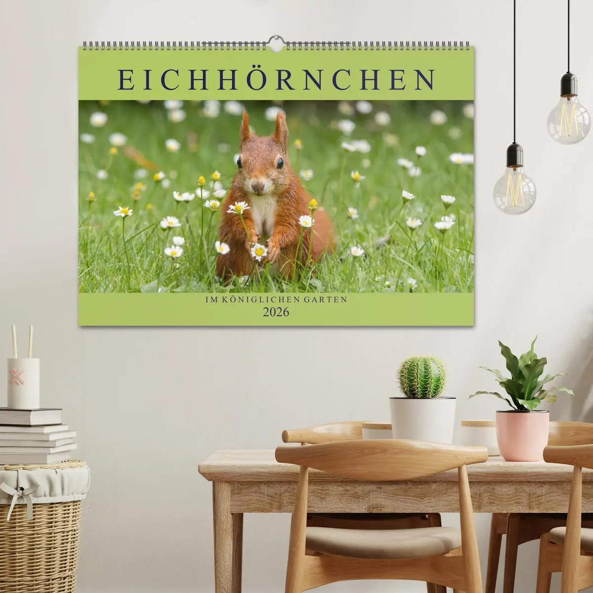 Bild: 9783516119930 | Eichhörnchen im Königlichen Garten (Wandkalender 2026 DIN A2 quer),...
