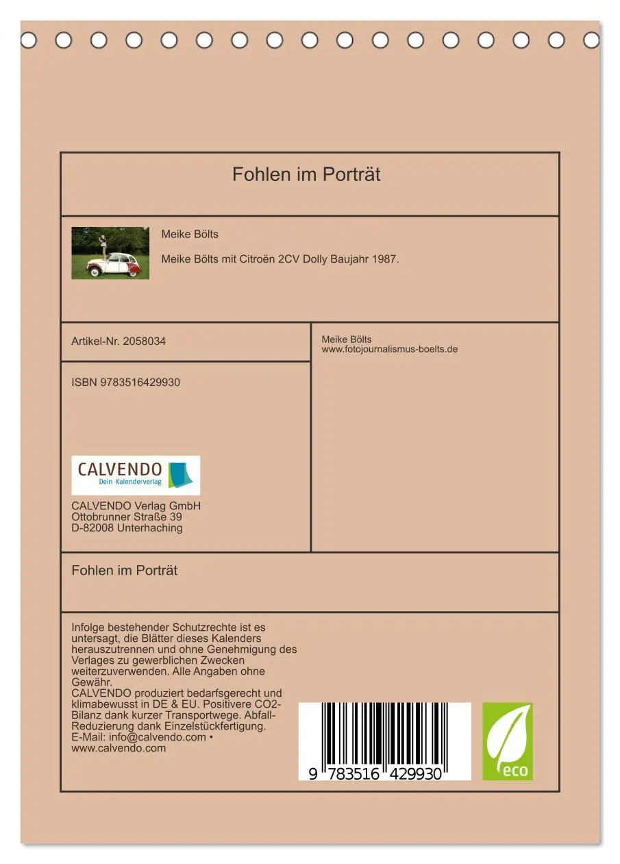 Bild: 9783516429930 | Fohlen im Porträt (Tischkalender 2026 DIN A5 hoch), CALVENDO...
