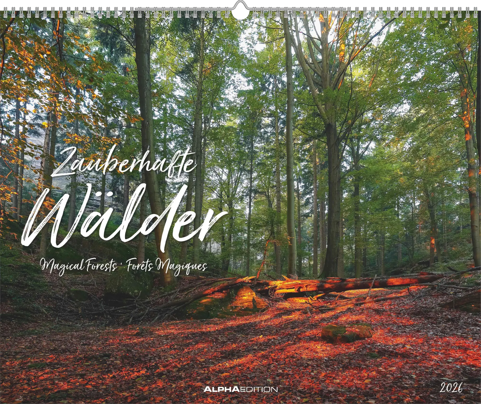 Cover: 4069095000131 | ALPHA EDITION - Zauberhafte Wälder 2026 - 52 x 42,5 cm | Neumann