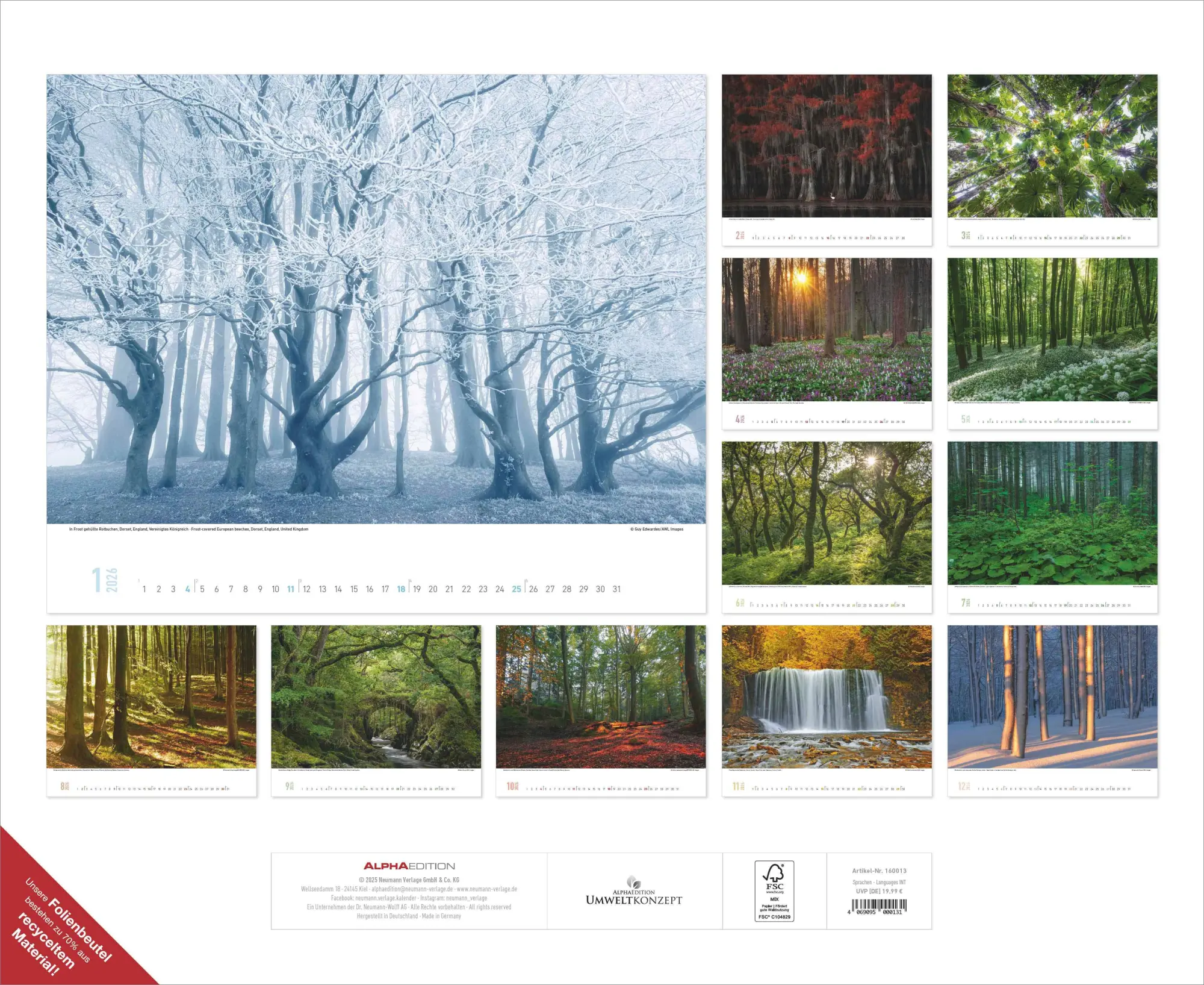 Rückseite: 4069095000131 | ALPHA EDITION - Zauberhafte Wälder 2026 - 52 x 42,5 cm | Neumann