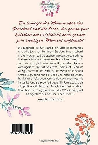 Rückseite: 9782919800131 | Mittendrin ein neuer Anfang | Melanie Brandl | Taschenbuch | 236 S.