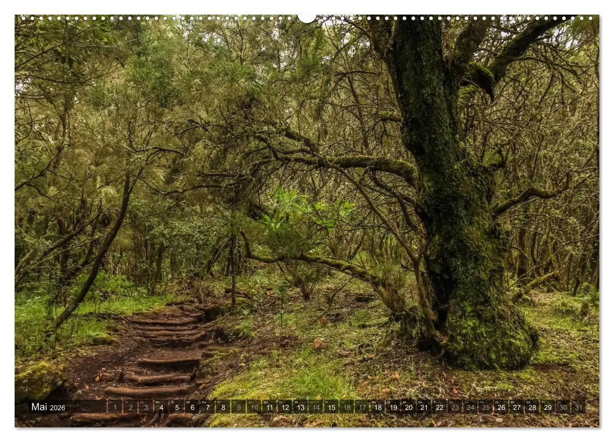 Bild: 9783516080131 | La Gomera 2026 - Eine Entdeckungsreise (hochwertiger Premium...