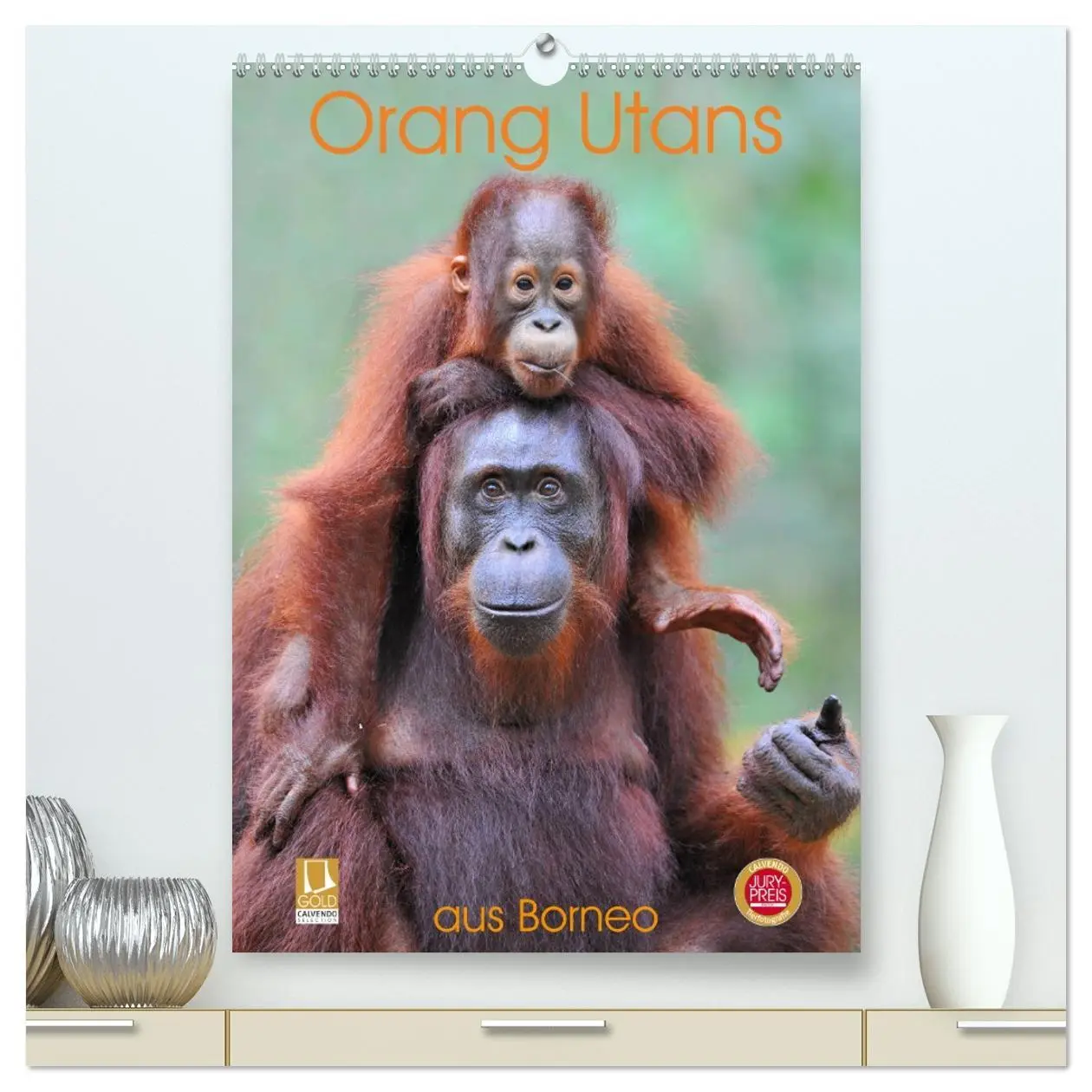 Cover: 9783516390131 | Orang Utans aus Borneo (hochwertiger Premium Wandkalender 2026 DIN...