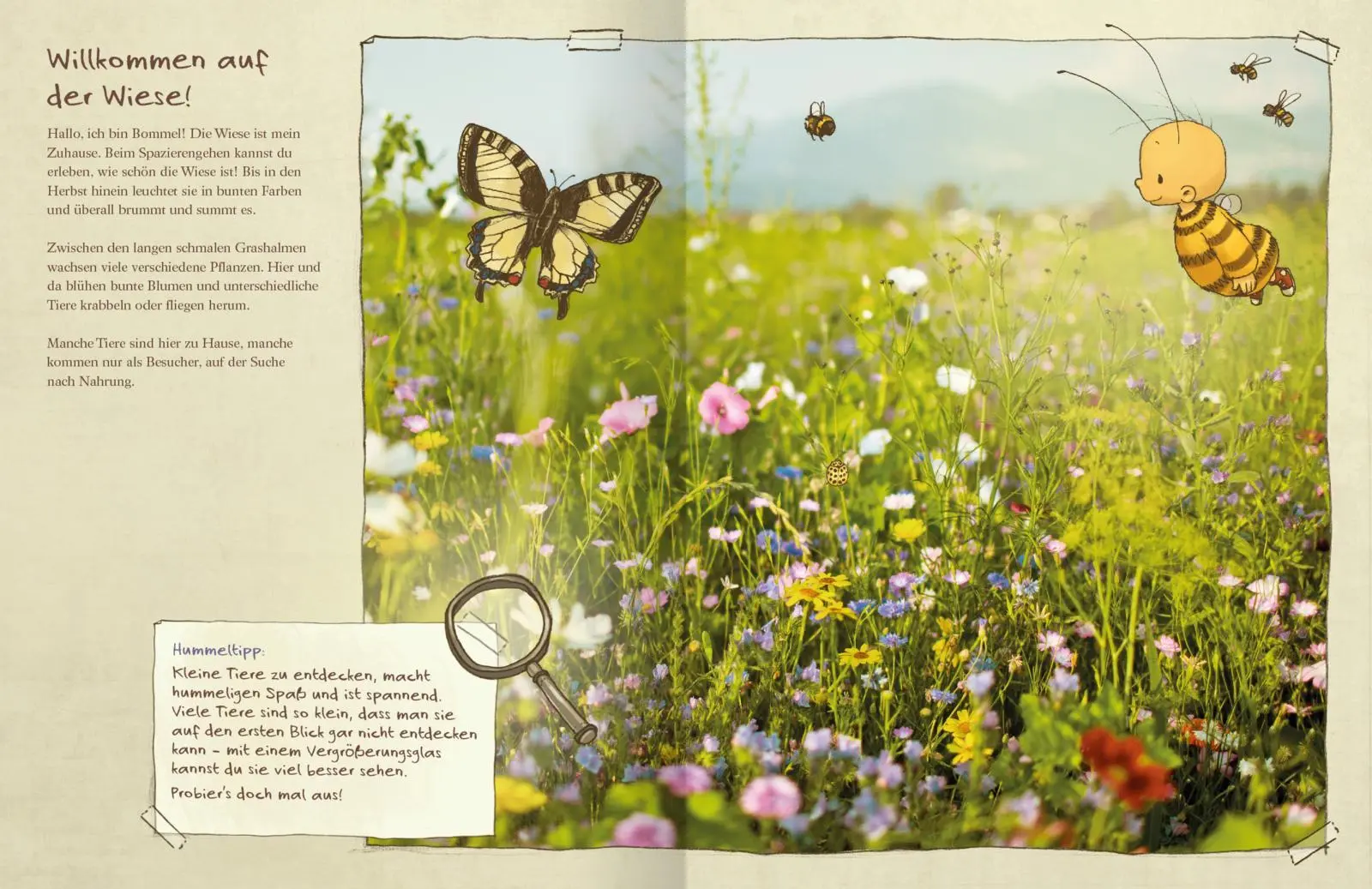 Bild: 9783845830131 | Die kleine Hummel Bommel entdeckt die Wiese | Das Natur-Sachbilderbuch