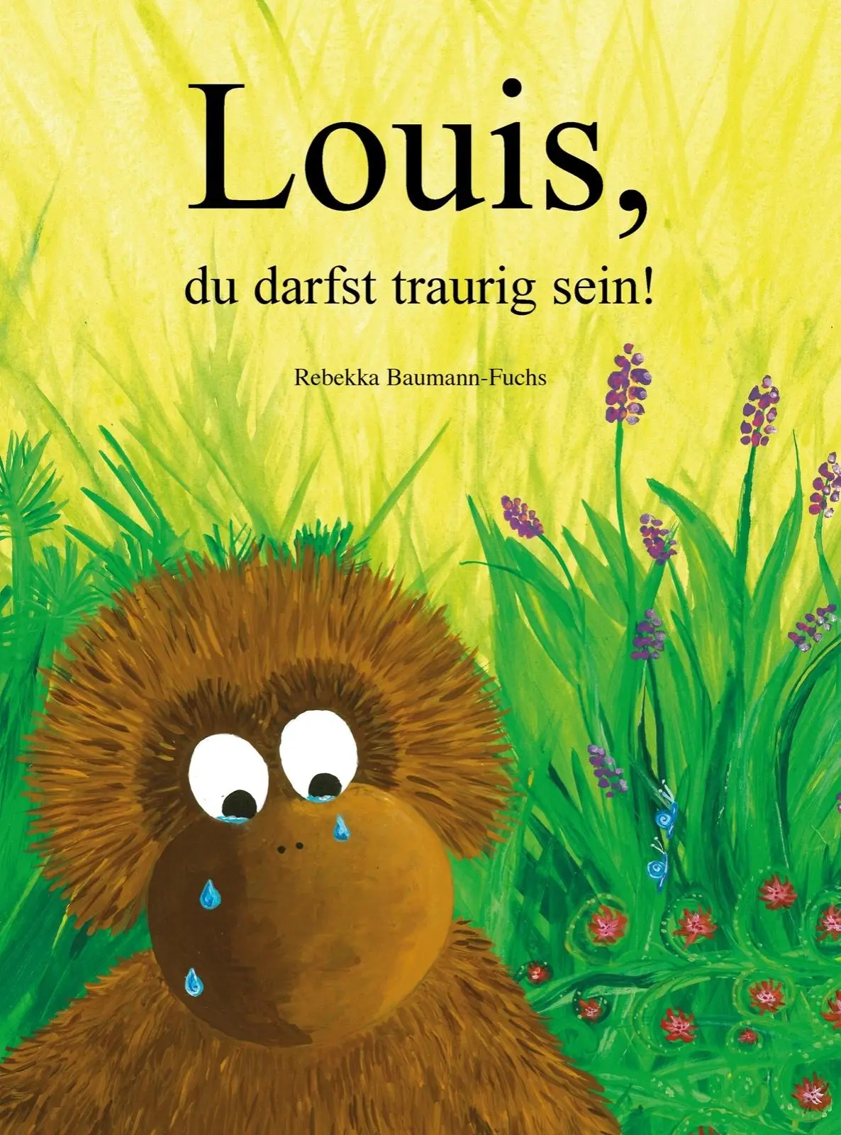 Cover: 9783039650231 | Louis, du darfst traurig sein! | Rebekka Baumann-Fuchs | Buch | Buch