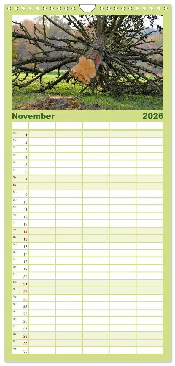 Bild: 9783516520231 | Familienplaner 2026 - Bäume 2026 mit 5 Spalten (Wandkalender, 21 x...