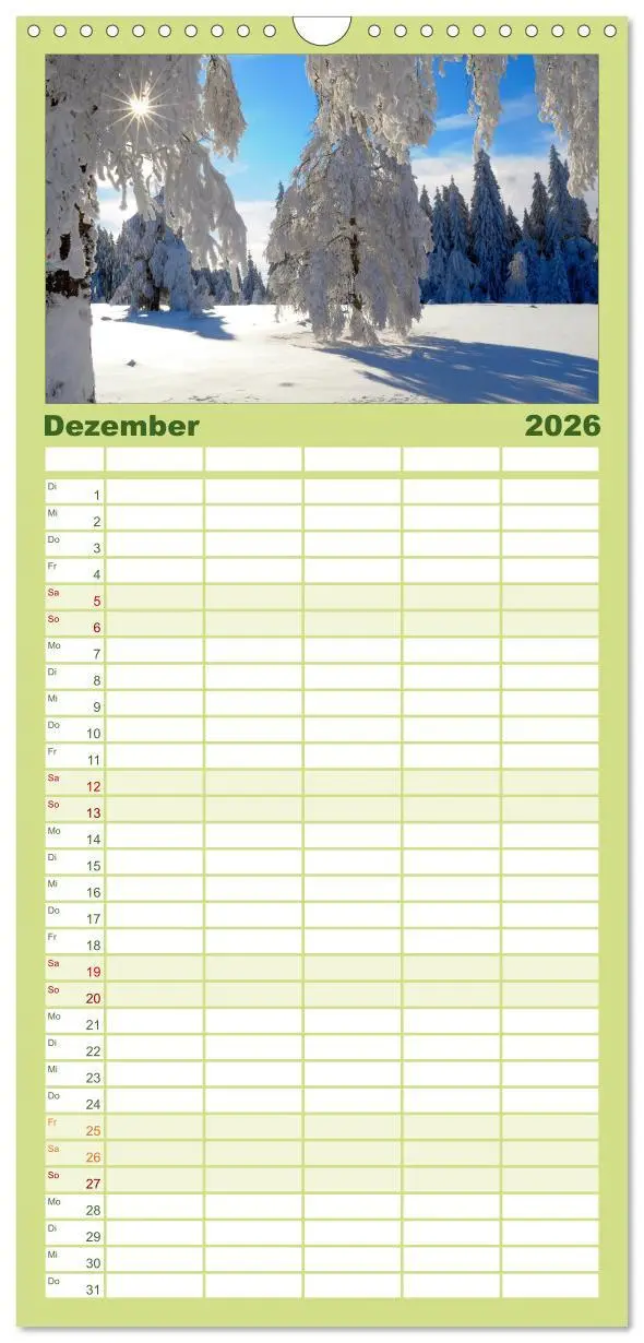 Bild: 9783516520231 | Familienplaner 2026 - Bäume 2026 mit 5 Spalten (Wandkalender, 21 x...