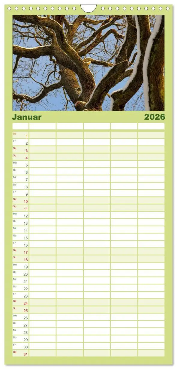 Bild: 9783516520231 | Familienplaner 2026 - Bäume 2026 mit 5 Spalten (Wandkalender, 21 x...