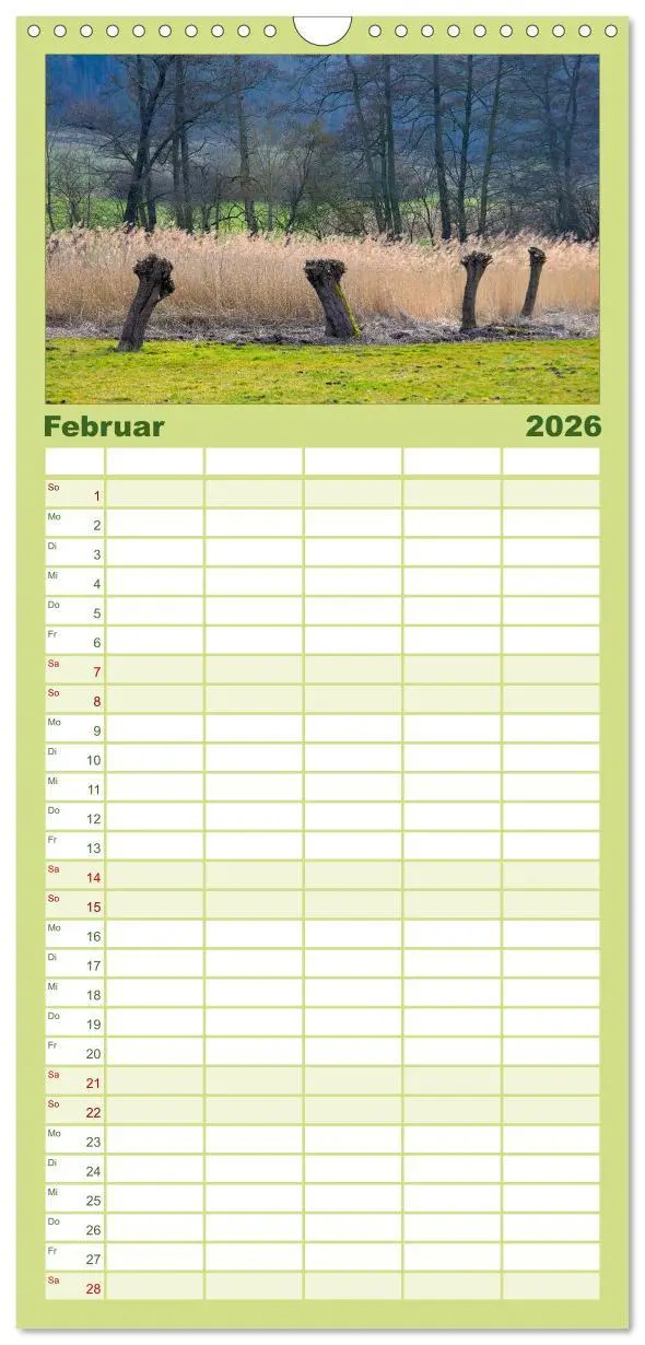Bild: 9783516520231 | Familienplaner 2026 - Bäume 2026 mit 5 Spalten (Wandkalender, 21 x...