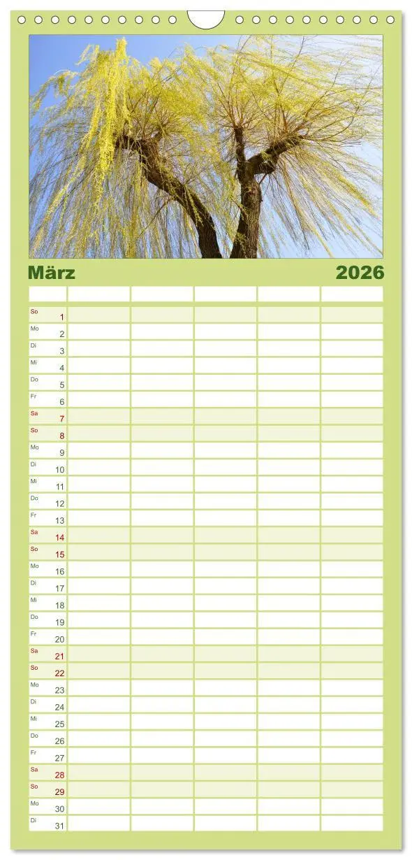 Bild: 9783516520231 | Familienplaner 2026 - Bäume 2026 mit 5 Spalten (Wandkalender, 21 x...