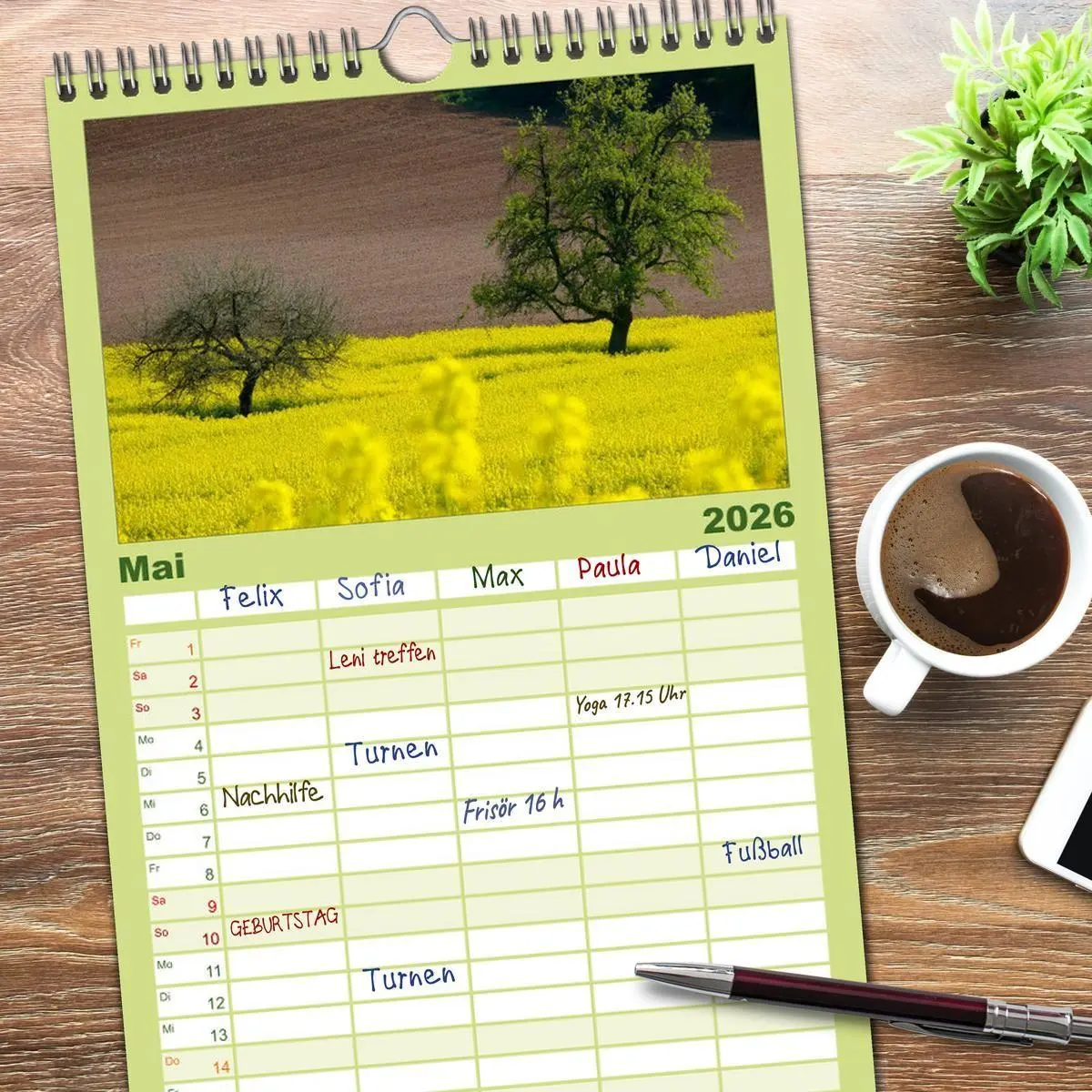Bild: 9783516520231 | Familienplaner 2026 - Bäume 2026 mit 5 Spalten (Wandkalender, 21 x...