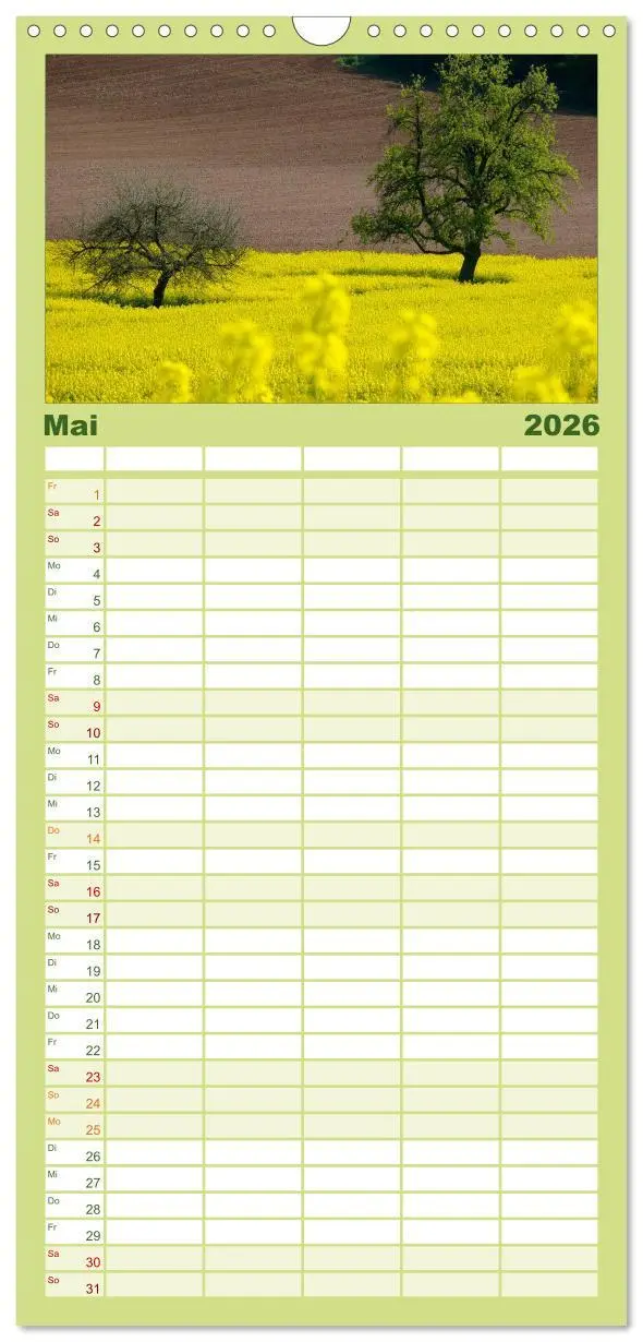 Bild: 9783516520231 | Familienplaner 2026 - Bäume 2026 mit 5 Spalten (Wandkalender, 21 x...