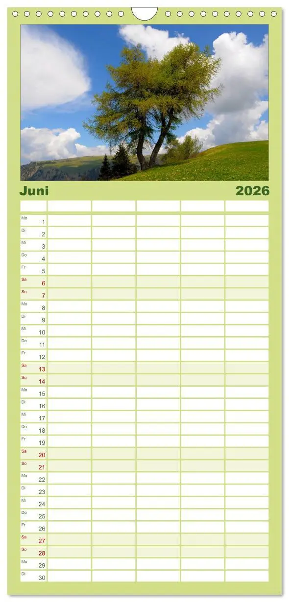 Bild: 9783516520231 | Familienplaner 2026 - Bäume 2026 mit 5 Spalten (Wandkalender, 21 x...