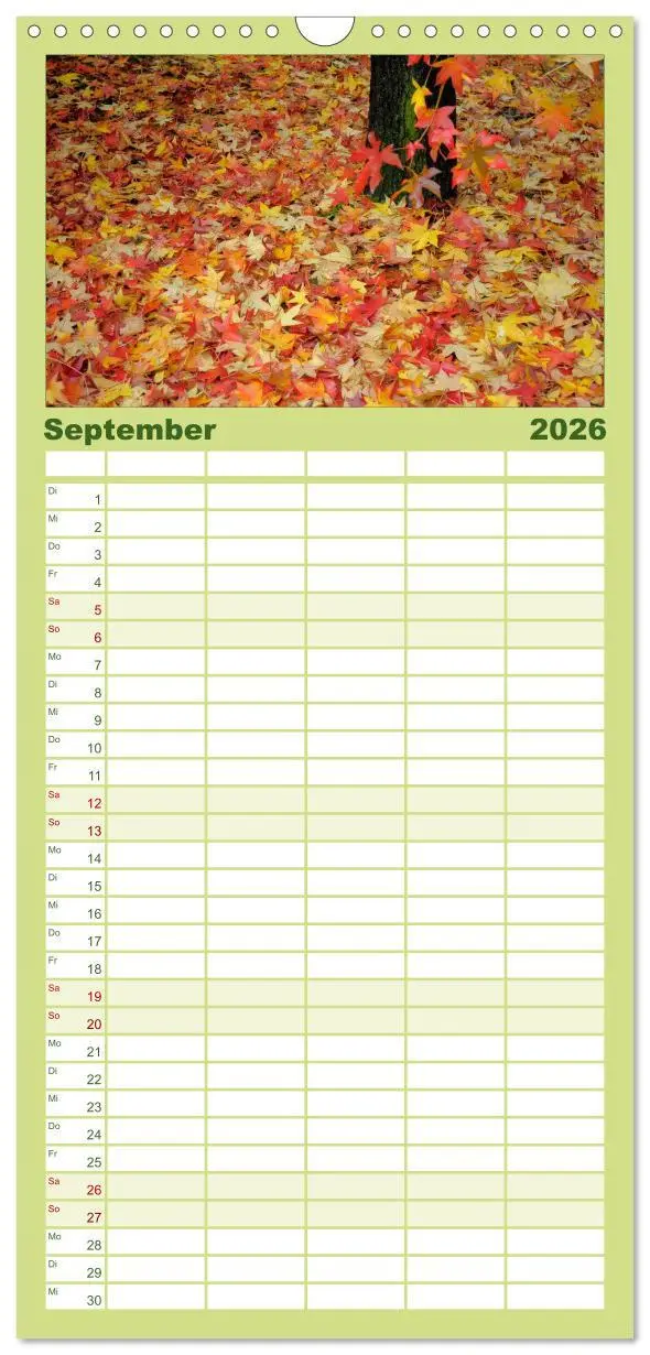 Bild: 9783516520231 | Familienplaner 2026 - Bäume 2026 mit 5 Spalten (Wandkalender, 21 x...