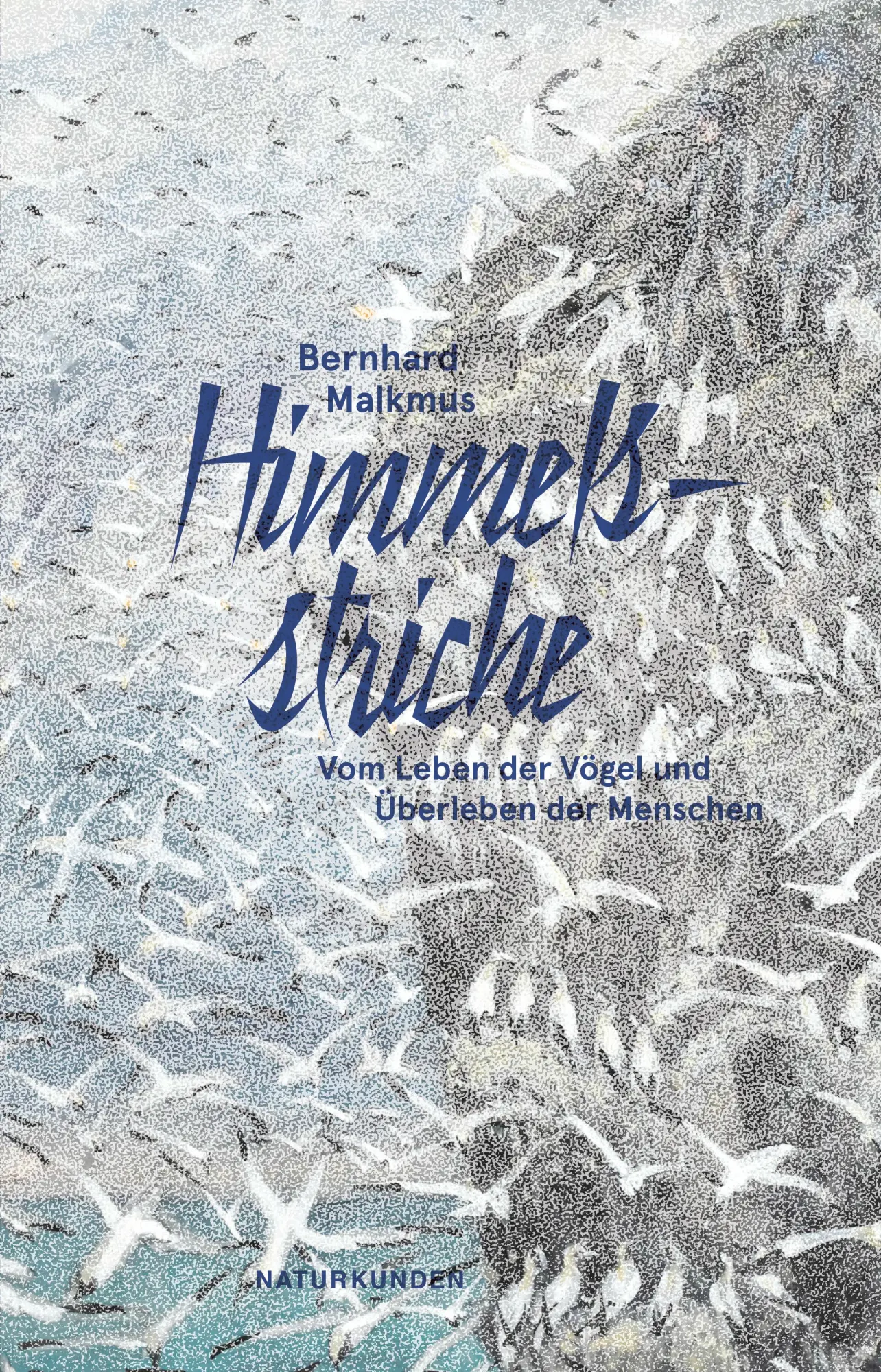 Cover: 9783751840231 | Himmelsstriche | Vom Leben der Vögel und Überleben der Menschen | Buch
