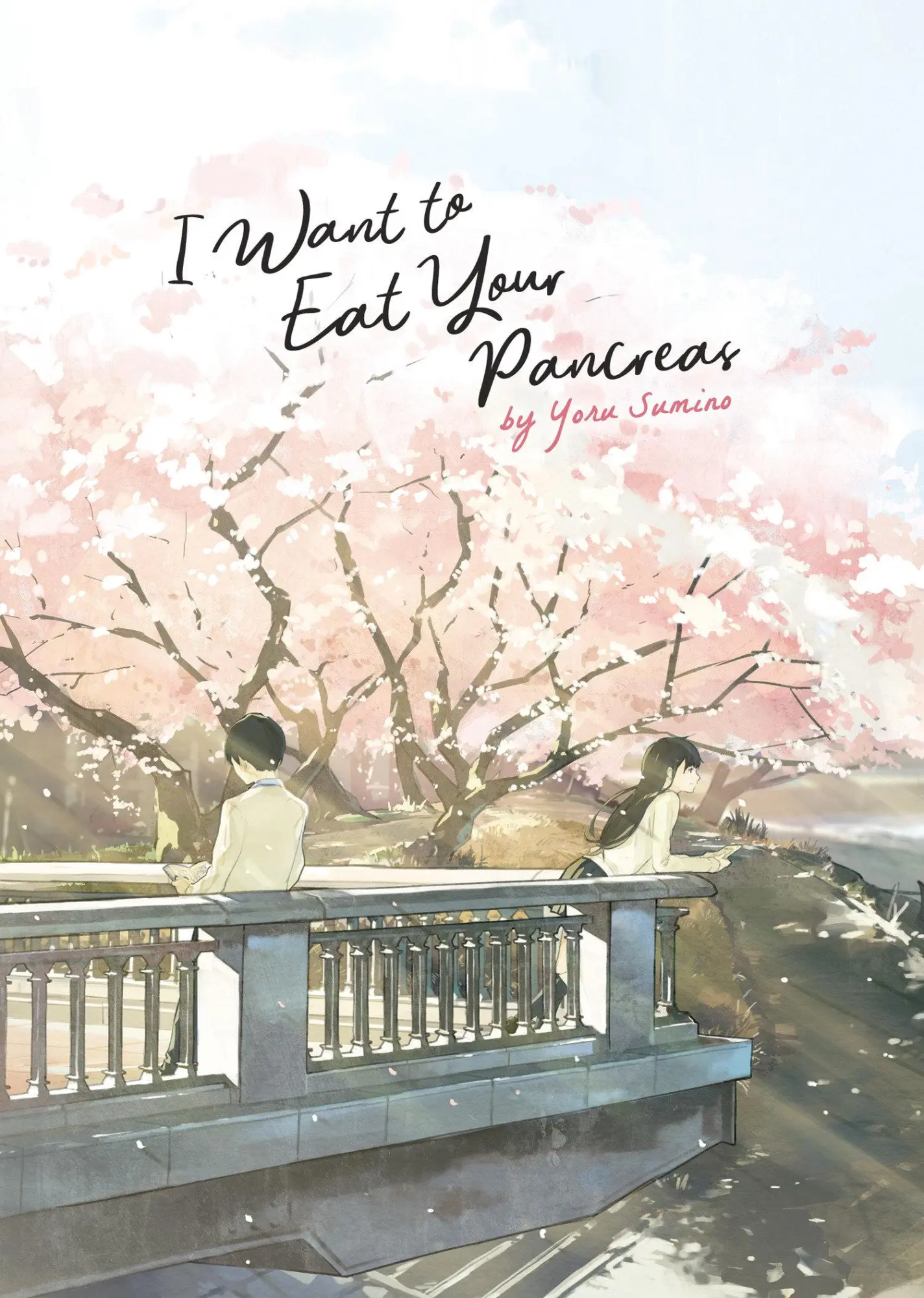 Cover: 9781642750331 | I Want to Eat Your Pancreas (Light Novel) | Yoru Sumino | Taschenbuch