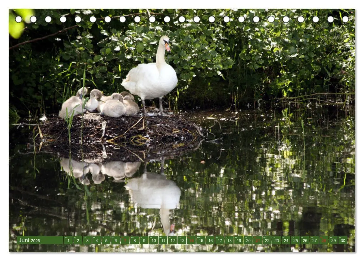 Bild: 9783457730331 | Hannoversches Wendland Verträumtes Landleben (Tischkalender 2026...