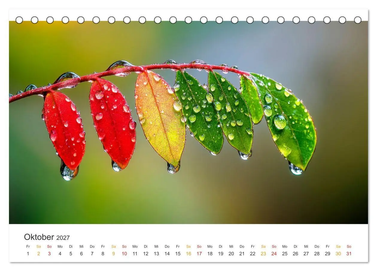 Bild: 9783516990331 | Zauber der Tropfen (Tischkalender 2027 DIN A5 quer), CALVENDO...